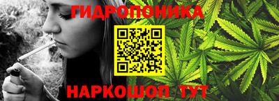 тгк Берёзовский