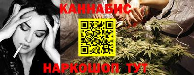 стаф Краснодар