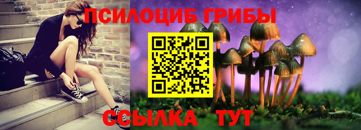 Арсеньев  Галлюциногенные грибы Psilocybine cubensis  Вход с VPN  Псилоцибиновые грибы прущие грибы 