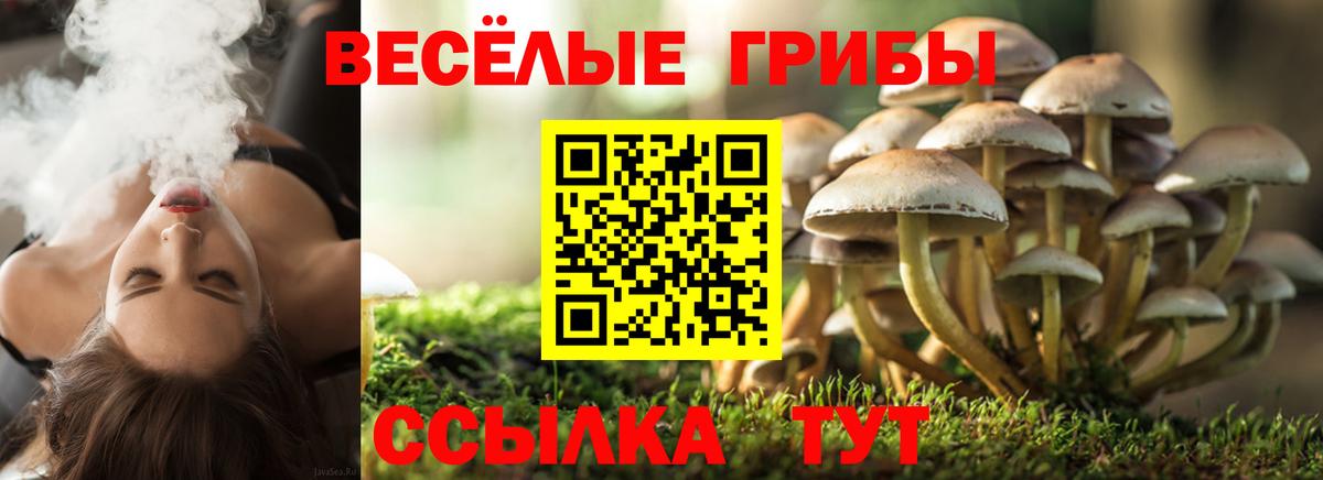 Галлюциногенные грибы MAGIC MUSHROOMS  Арсеньев  Галлюциногенные грибы прущие грибы 